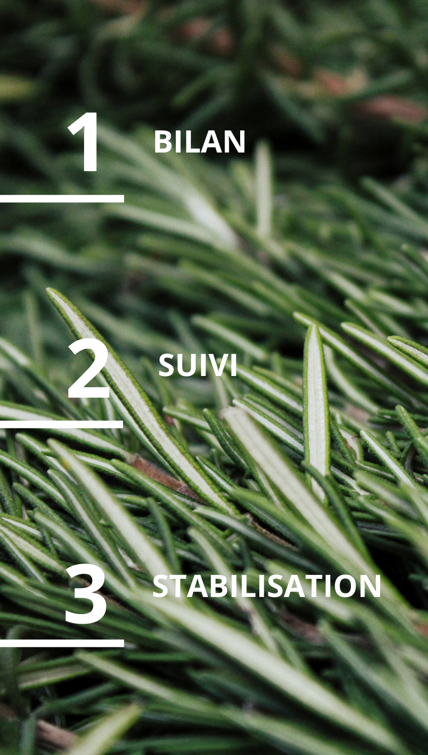 Design sans titre 4