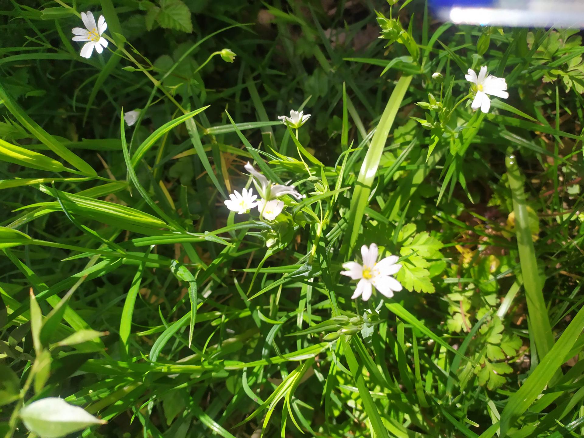 Img 20230415 115732