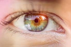 Qu'est-ce que l'iridologie en naturopathie ?