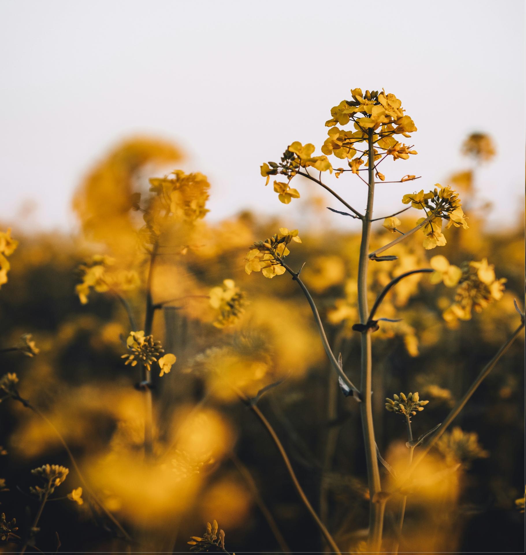 Martin katler rrgm9xpbgky unsplash